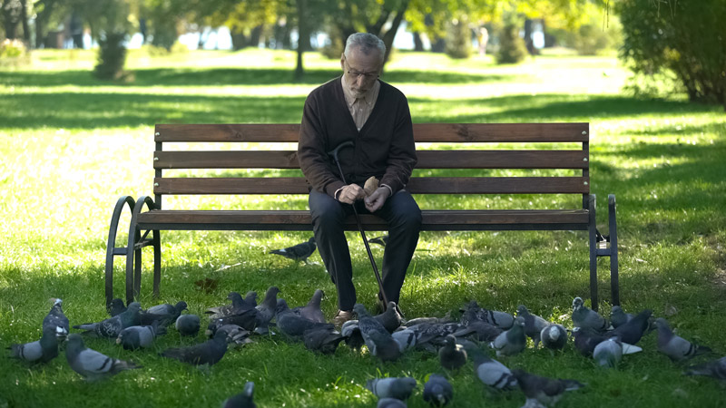 Lonely Man Feeding Pigeons