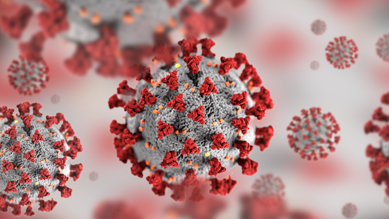 SARS-CoV-2 Virus Causing COVID-19